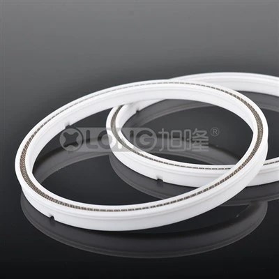 PTFE ロッドシール スプリング付勢シール