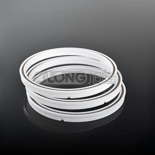 PTFE スプリング付往復コンプレッサー シール